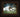 The Shepherd Who Stays - GH1038474FBR