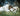 The Shepherd Who Stays - GH1038475-GW
