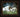 The Shepherd Who Stays - GH1038475FBR