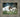 The Shepherd Who Stays - GH1038475FGR