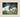 The Shepherd Who Stays - GH1038475FWH