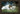 The Shepherd Who Stays - GH1038480FBR